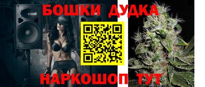 прущие грибы Кингисепп
