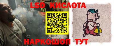прущие грибы Кингисепп