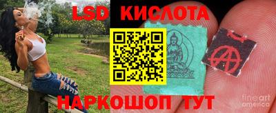 прущие грибы Кингисепп