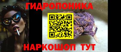 прущие грибы Кингисепп