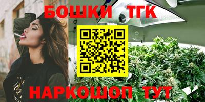 прущие грибы Кингисепп