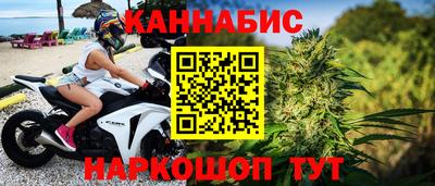 прущие грибы Кингисепп
