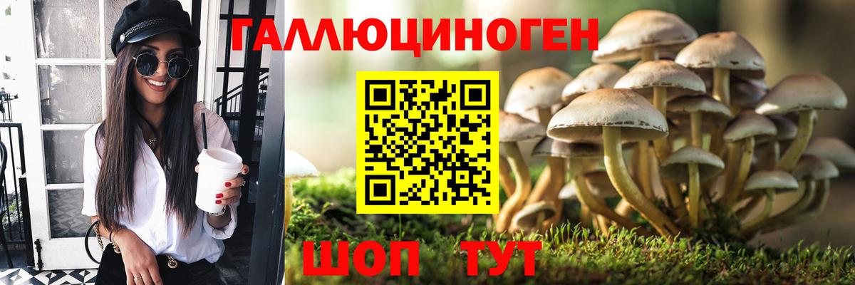 Галлюциногенные грибы прущие грибы Кушва