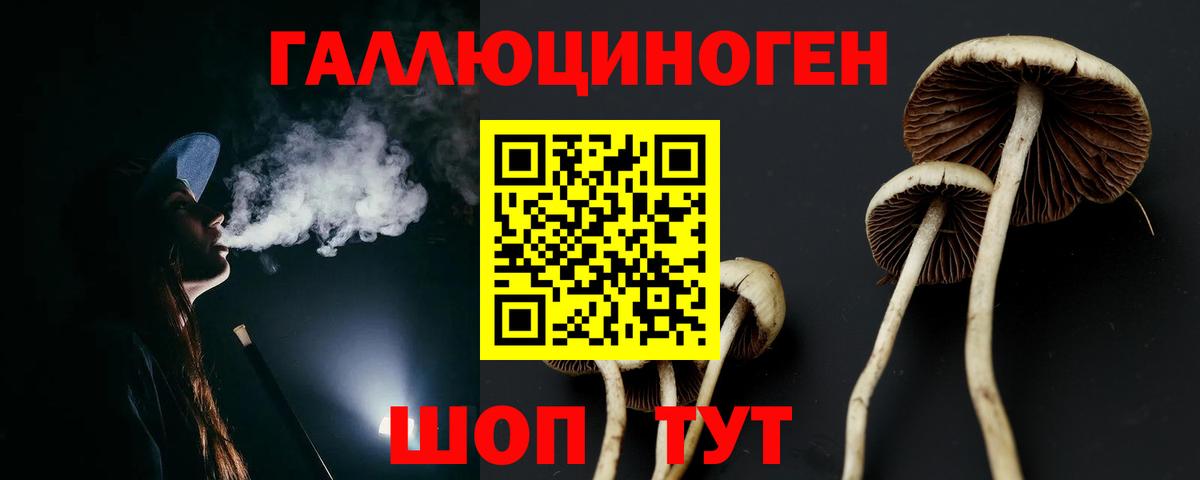 Псилоцибиновые грибы Psilocybe  Вход с VPN  Кушва 
